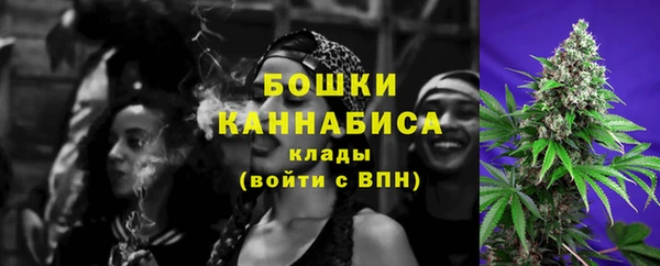 стаф Богданович