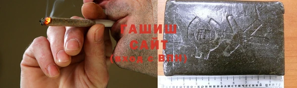 стаф Богданович