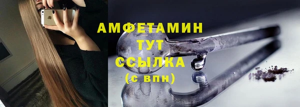 стаф Богданович