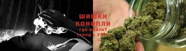 стаф Богданович