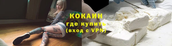 стаф Богданович