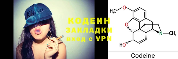 стаф Богданович