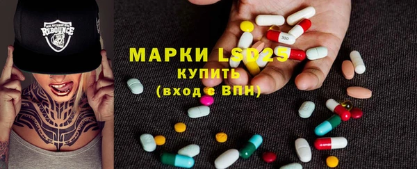 стаф Богданович