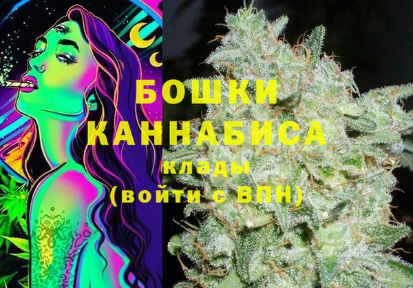 стаф Богданович