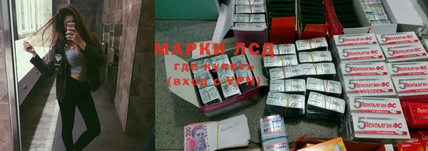 стаф Богданович