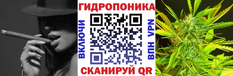 mega ONION  Кирово-Чепецк  Канабис сатива  дарнет шоп 